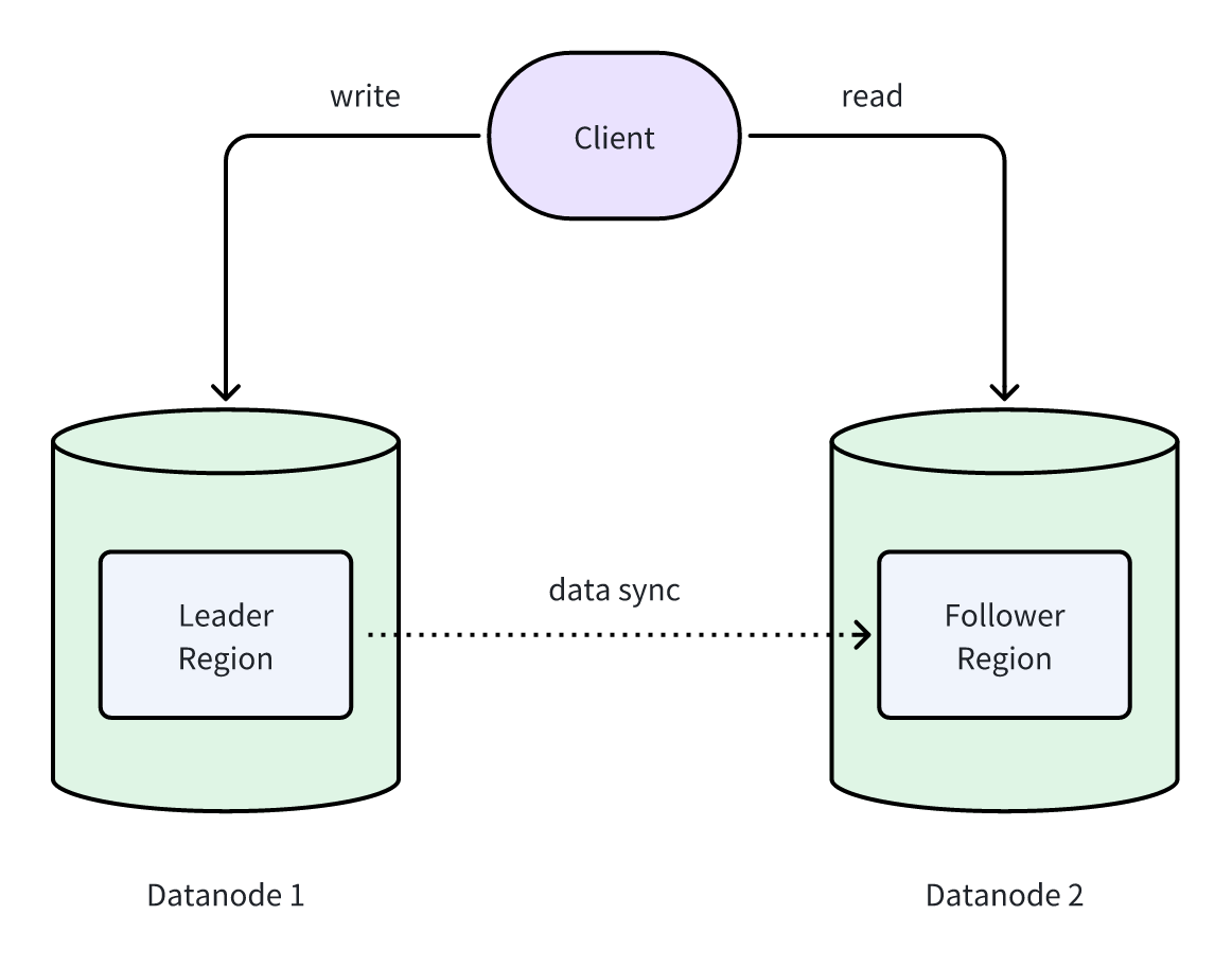 (Figure 1: Leader and Follower Regions deployed on different Datanodes)